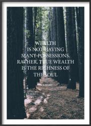 Poster: Wealth is not having many possessions (50x70cm)